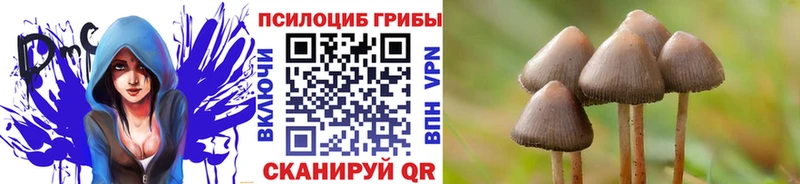Галлюциногенные грибы Magic Shrooms  Дубна 